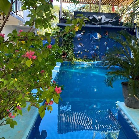 Hotel Casa Chukum Bacalar Exterior foto Butterfly House