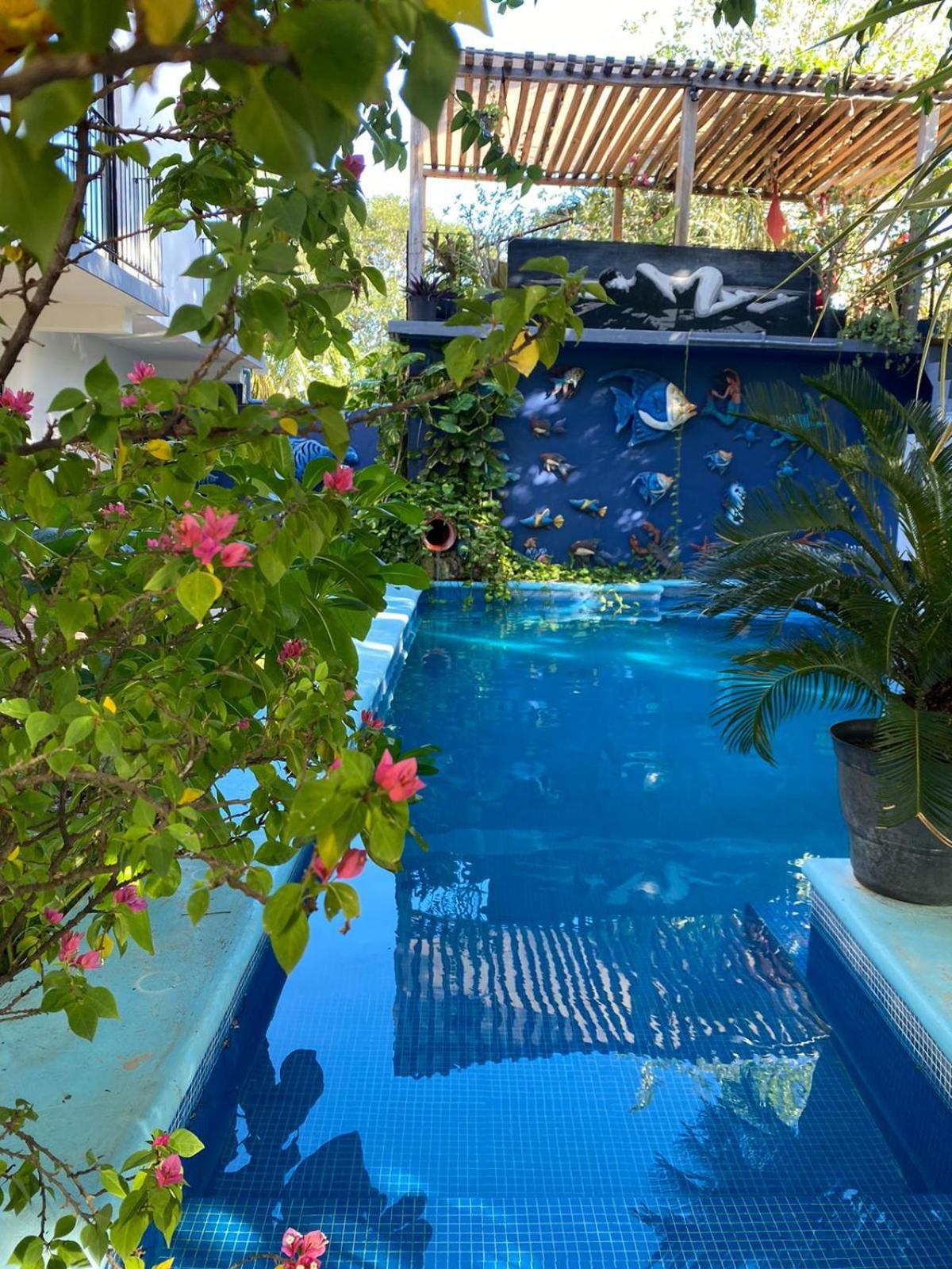 Hotel Casa Chukum Bacalar Exterior foto Butterfly House